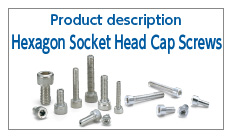What are Hex Socket Head Cap Screws (cap bolts)?